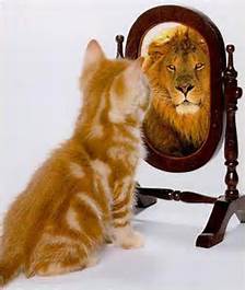 change cat mirror lion