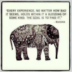 blessings in experiences